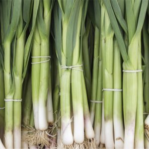 image 94