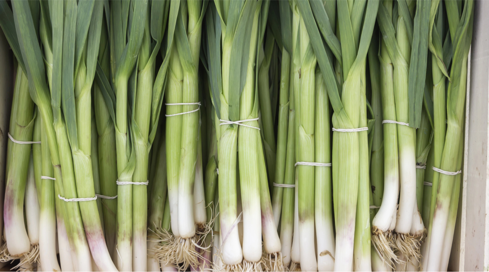 image 94
